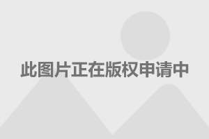 运输服务 第86页