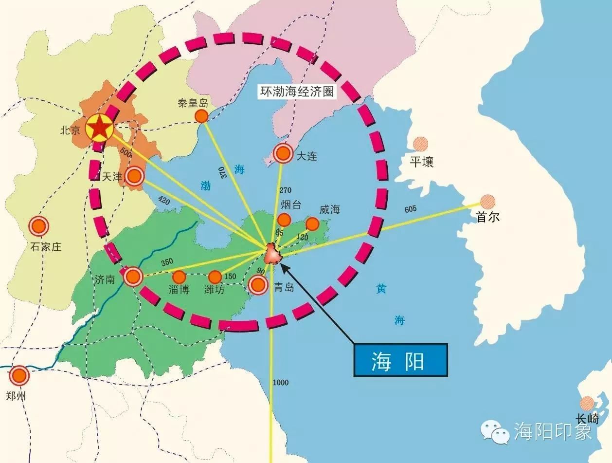 运输服务 第37页