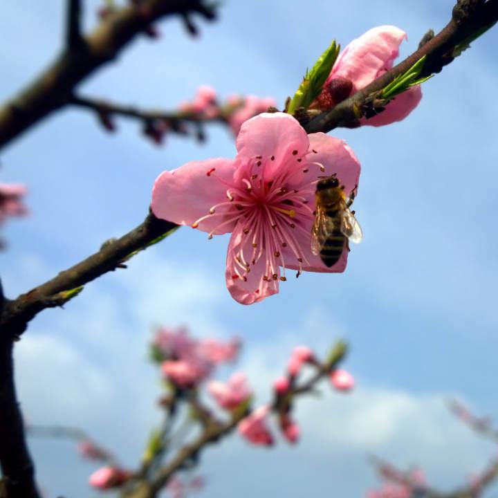 运输服务 第35页