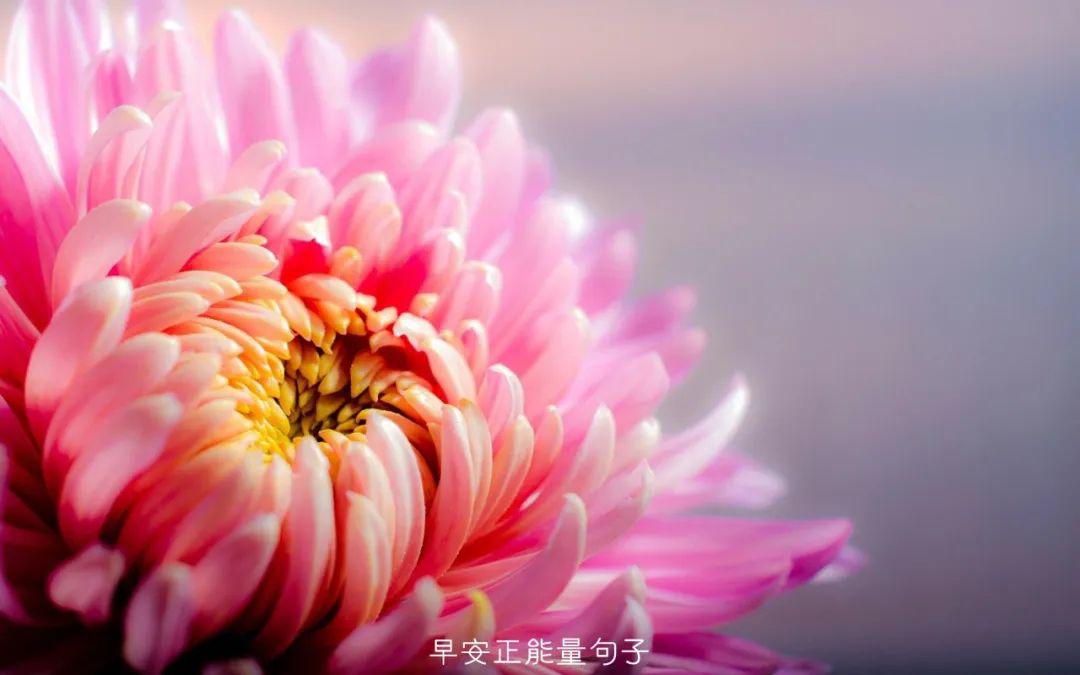 商品车运输
